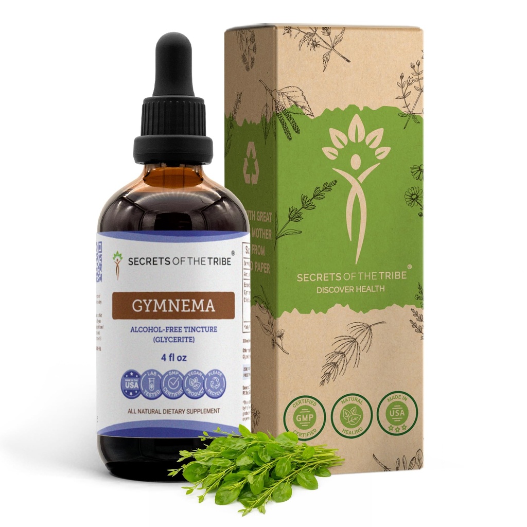 Secrets of the Tribe Gymnema Tincture Alcohol-Free Liquid Extract, Gymnema Sylvestre Dried Leaf (4 FL OZ)