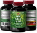 Blå Grønn Algae Superfood - Blå Grønn Algae - Blå Grønn Algae for immunitet - Klamath Shores Blå Grønn Algae, Digestion Supplement, Immun støtte Supplement, Blå Grønn Algae pulver, 1b 60 Caps