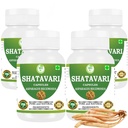 Shatavari Capsules 500 mg | Asparagus Racemosus Extract | 60 Vegan Capsules |Pack of 4 | Natural Ayurvedic Herbal Supplement for Women | Plant-Based Formula for Daily Wellness