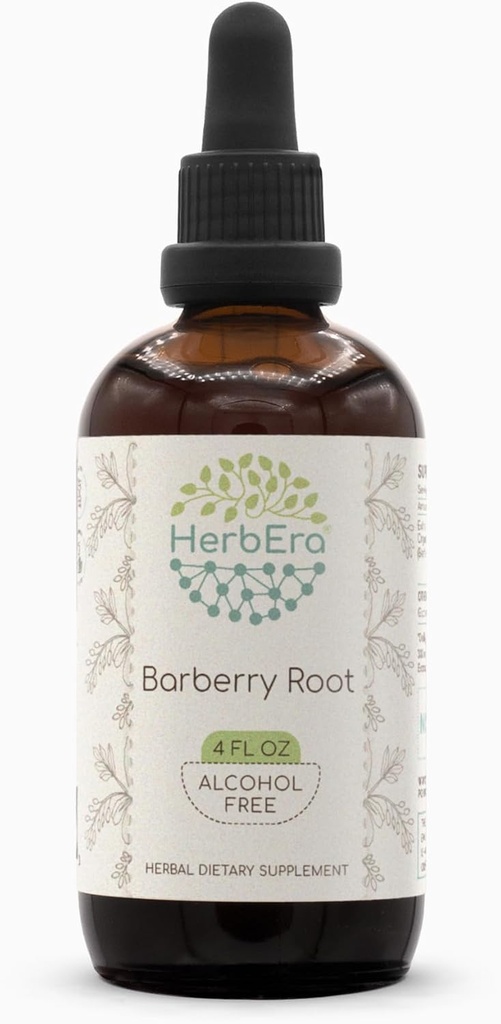 Barberry Root B120 Alkol-Free Herbal Özü Tincture, Kondisioned maye Drops Natural Barberry (Berberis Vulgaris) (4 fl oz)