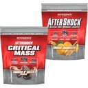 Myogenix Critical Mass Cookies & Cream and Aftershock Orange Creamsicle 6 lbs – Critical Mass: Whey Protein Powder, Creatine & Glutamine – Aftershock: Recovery Carbohydrates, Protein Powder, & Aminos