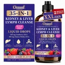 35-in-1 Kidney and Liver Cleanse Detox & Repair Drops – Liposomal Lymphatic Drainage with Cranberry, Milk Thistle & Chanca Piedra – Urinary Tract & Liver Support, Vegan, Mixed Berry Flavor, 4 FL Oz