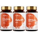 Choline Supplement with Choline Bitartrate, Alpha GPC & CDP Choline, Supports Brain Health, Made in USA