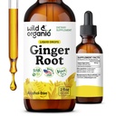 Wild & Organic Ginger Extract Liquid Drops - Immune & Digestive Support - Liquid Ginger Root Supplement - Easy to Add to Tea - Vegan, Sugar & Alcohol-Free Tincture - 2 fl oz