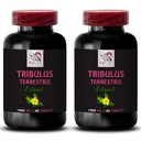 Pure Energy Boost - TRIBULUS TERRESTRIS EXTRACTS - Strength Surge, Active Power, Muscle Support, Dynamic Strength, Body Formula, Daily Power Surge, Natural Energy, Physical Muscle 2 Bottles 120 Tabs