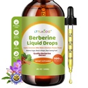 Liquid Berberine Drops with Ceylon Cinnamon & Chromium Picolinate – Blood Sugar Support Complex – Berberine Liquid Supplement, 300mg per Serving, 2 fl oz
