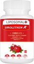 Lipostomal Urolithin A suplementari 2000MG per l'Energia 60 Capules