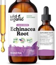 Selvagem e orgânica Echinacea Tintura - Imune Suporte gotas com líquido Echinacea Root Extract - Suplementos de Angustifolia - Vegan, Açúcar & Álcool - 2 fl oz