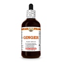 Ginger (Zingiber Officinale) Dry Root Tincture, Made in Hawaii, Raw Materials, All Natural, Vegan, Pure Liquid Extract - 4 fl.oz