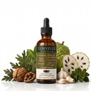 Lumvelle Wild Harvested Wormwood Drops, Alcohol-Free Liquid Formula with 7 Plant Ingredients, Gut Cleaning Support & Digestive Balance, Daily Wellness Herbal Extract