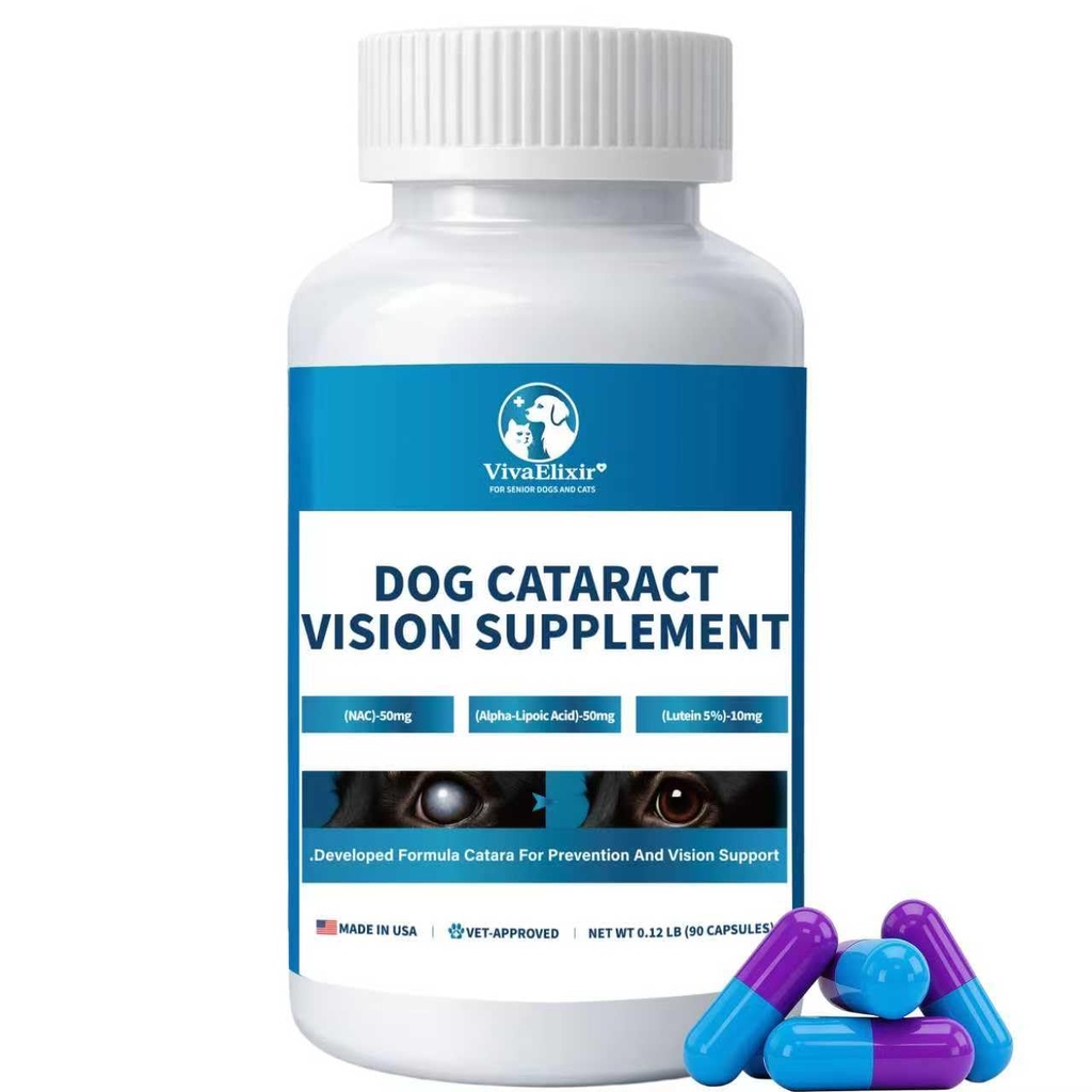 Eye Supplements for Dogs - Vision Support Soft Chews with Lutein, DHA & Vitamin C | 120ct Salmon Flavor Tear Stain Chews | Cataract & Dry Eye Relief Supplement (90 Ct)
