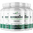 Pure Berberine Supplement - 1300mg Berberine with Ceylon Cinnamon for Metabolism & Immune System Support - 5 Pack, 300 Servings