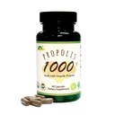 GREENBOW Propolis 1000mg_NonGMO Made with Organic Propolis_60 Capsules_VEGAN CAPSULES