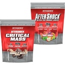 Myogenix Critical Mass Cookies & Cream and Aftershock Fruit Punch 6 lbs – Critical Mass: Whey Protein Powder, Creatine & Glutamine – Aftershock: Recovery Carbohydrates, Protein Powder, & Aminos Stack