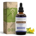 Secrets of the Tribe Mullein Leaf Tincture Alcohol-Free Liquid Extract, Mullein (Verbascum thapsus) (4 FL OZ)