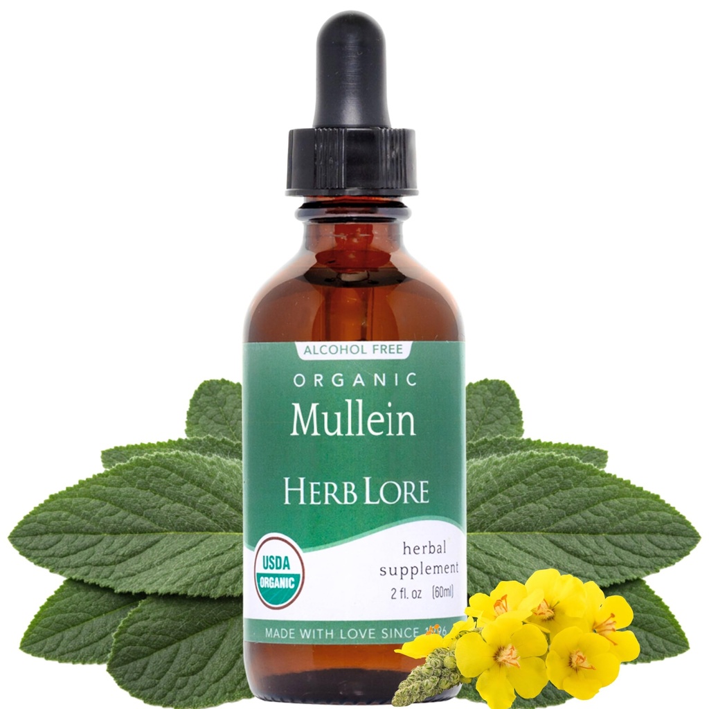 Herb Lore Mullein Tincture - Organic Mullein Drops for Lungs - Alcohol Free - 2 fl oz