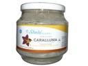 Sheló NABEL CARALLUMA Powdered premix Natural Strawberry/Watermelon Flavor 460gr