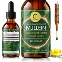 GPGP GreenPeople Mullein Leaf Drops with Elderberry - Max Strength Lung Cleanse and Detox for Smokers, Mucus Relief & Respiratory Support - Liquid Tincture, Alcohol-Free, 2 FL OZ