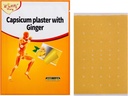 30 Pcs Capsaicin Patches, Capsicum Ginger Patches, 3.94"x2.76" Capsicum Patch 15 Bags, 30 Count