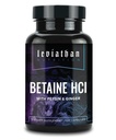 Leviathan Betaine HCl with Pepsin & Ginger - Digestive Enzymes Supplement for Digestion Aid & Support, Stomach Acid & Nutrient Absorption