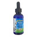 PetTest Methyl B12 Vitamin Liquid Drops 2fl oz (5000 MCG) Supplement with Methylcobalamin for Diabetic Pets, Maximum Absorption to Increase Energy for Dogs and Cats