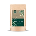 Blessfull Healing Boswellia AKBA Powder 100% Pure Natural 100 Gram / 3.52 oz