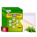 50 PCS Mint Menthol Capsaicin Patches (S (3.94" * 2.76") 50 Count) Hot Capsicum Patch