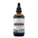 Secrets of the Tribe Goldenseal Root Liquid Extract for Immune & Digestive Support | Herbal Supplement | Alcohol-Free | Hydrastis Canadensis Dried Root | Drops 4 fl oz