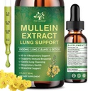 (2 Pack) 6 In 1 Mullein Drops for Lungs, Organic Mullein Leaf Extract Tincture for Lungs, Detox Cleanse &amp; Respiratory for Breathing Health, Mullein Oil Supplement Immune Support, Vegan, 1 Fl Oz