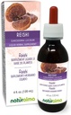 Naturalma Reishi (Ganoderma lucidum) Cogumelo ou Tintura sem álcool - 4 fl oz Extrato líquido em gotas - Suplemento de ervas - Vegan