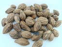 Badi Harad Whole-Aralu | Inknut | Haritaki | Kadukkai-Harar-Terminalia.Chebula-Karakkaya(Pack of 1) 50g