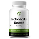 Lactobacillus Reuteri Probiotic 240 Tablets (4 Month Supply) – Researched Strain LR08 – 3 Billion CFU – Digestive Health & Gut Comfort – GMP Certified (240, Lactobacillus Reuteri)