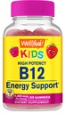WellYeah Vitamin B12 Gummies for Kids - Boost Energy, Improve Brain Function, and Strengthen Immune System - Non-GMO, Gluten-Free - Great Tasting Berry Flavor - Easy to Chew - 60 Gummies
