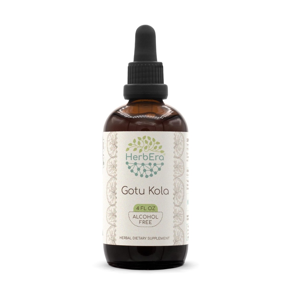 Gotu Kola B120 Tincture Alcohol-Free Herbal Extract, Concentrated Liquid Drops Natural Gotu Kola (Centella Asiatica) 4 fl oz