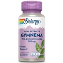 SOLARAY Gymnema Leaf Extract 385 mg Capsules for Men & Women - Gymnema Sylvestre Supplement for Nature-Based Herbal Support, 385mg Per Serving, 75% Gymnemic Acids, Vegan - 60 Ct Veg Caps