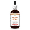 Gotu Kola (Centella Asiatica) Dry Leaf Tincture, Made in Hawaii, Raw Materials, All Natural, Vegan, Pure Liquid Extract - 2 fl.oz
