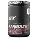 EFX Sports Karbolyn Fuel | Fast-Absorbing Carbohydrate Powder | Carb Load, Sustained Energy, Quick Recovery | Stimulant Free | 18 Servings (Kiwi Strawberry)