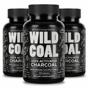 Wild Foods Activated Charcoal Capsules | 100% Organic Coconut Shells Active Tablets | Lab Tested & Non-GMO Detox Pills | USA (Three Bottles - 120 Capsules)