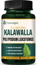 卡拉瓦拉根卡普勒斯(Kalawalla Root Capsules), Polypodium Leucotomos 提取补充支持免疫系统,皮肤健康,以及自由激进者防御, 持续3个月. 90 计数
