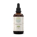 HerbEra Mullein Flower B120 Alcohol-Free Herbal Extract Tincture, Super-Concentrated Mullein (Verbascum Thapsus) Dried Flower (4 fl oz)