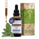 Secrets of the Tribe Mullein Leaf Tincture Alcohol-Free Liquid Extract, Made with Mullein (Verbascum thapsus) (2 FL OZ)