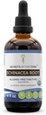 Echinacea Root USDA Økologisk Tinktur | Alkohol-fri ekstrakt, høy potens Herbal Drops, Immunsystem helse | laget av 100% sertifiserte organisk Echinacea Root (Echinacea Purpurea) 4 oz