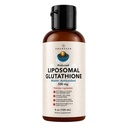 AMANDEAN Liposomal Glutathione Supplement. Liquid Reduced Setria 500mg. Immune, Cellular & Skin Health, Liver Detox. Non-GMO Sunflower Lecithin Phosphatidylcholine. Soy-Free (Packaging May Vary)