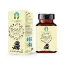AYURVEDASHREE Shilajit Extract Capsules 1000mg – with 40%+ Fulvic Acid – 60 Veg Capsules for Men & Women