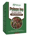 Poison Ivy Soap Bar - All Natural Poison Ivy - Anti-Itch Skin Cleanser Bar for Poison Ivy, Poison Oak & Sumac - Removes Oils, Soothes & Relieves Rashes - 4 oz Bar Made in USA (4 Ounce (Pack of 1))