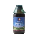 WishGarden Herbs Rise & Energize, Jitter-Free Energy Tincture, 4oz | Maca Root, Yerba Mate & Schisandra, Coffee Alternative, Gotu Kola