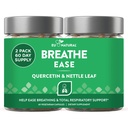 Breathe Inhaler Support Supplement - Sinus, Lungs, Open & Clear Airways - Seasonal Nasal Health, Bronchial Wellness, Healthy Chest - Quercetin, Vitamin D, Bromelain Pills - 120 Vegetarian Capsules