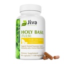 Holy Basil Capsules - Premium Holy Basil Extract with Tulsi Powder - Ayurvedic Herb Alternative to Tincture - 90 Vegan Capsules