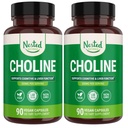 Nested Naturals Choline Bitartrate 500mg Per Serving - High Potency Choline Supplements - Supports Maternal & Fetal Health During Pregnancy* - 100% Vegan & Non-GMO - 2-Pack (180 Vegan Capsules)