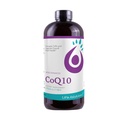Life Solutions Liquid CoQ10 Supplement, 50 mg, 4 oz Bottle | High Absorption, Coenzyme Q10, per Serving, Energy, Heart Health, Antioxidant Support